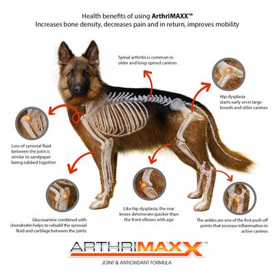 ArthriMAXX Joint Support & Antioxidant Dog Supplement, 32-fl oz bottle