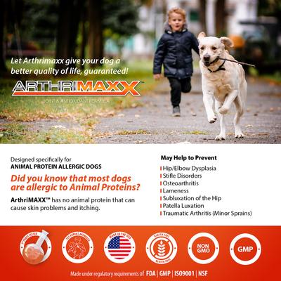 ArthriMAXX Joint Support & Antioxidant Dog Supplement, 32-fl oz bottle