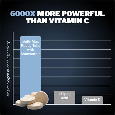 Immune Support Tablet Supplement for Small Dogs, 30 count