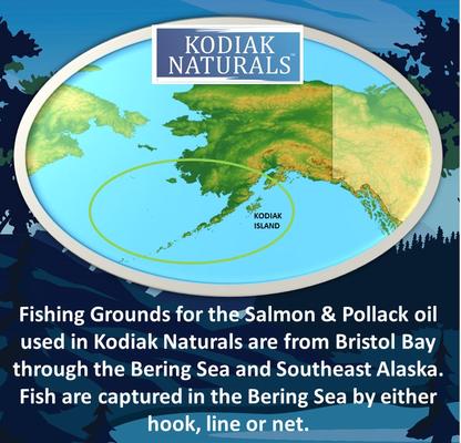 Salmon Oil Dog & Cat Supplement, 18-fl oz bottle