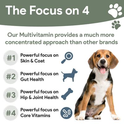 4-In-1 Support Multivitamin Dog Supplement, 180 count