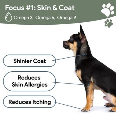 4-In-1 Support Multivitamin Dog Supplement, 180 count