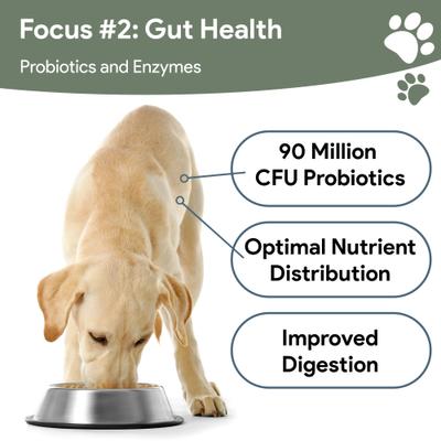 4-In-1 Support Multivitamin Dog Supplement, 180 count