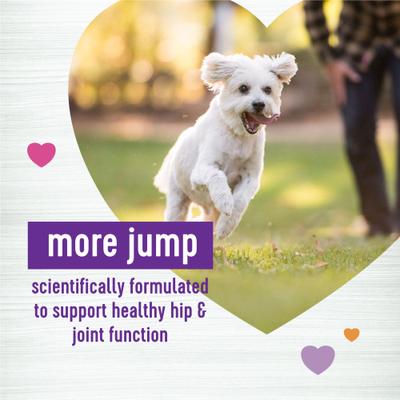 Move Hip & Joint Chicken Flavor Chew Supplements for Dogs, 45 count