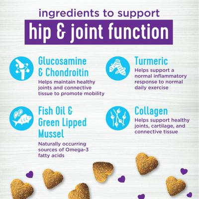 Move Hip & Joint Chicken Flavor Chew Supplements for Dogs, 45 count