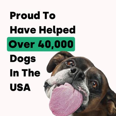 Canine NutriGreens Chews Vitamin & Probiotic Supplement for Dogs, 90 count