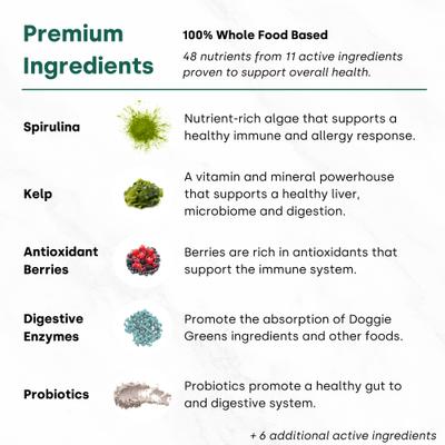 Canine NutriGreens Chews Vitamin & Probiotic Supplement for Dogs, 90 count