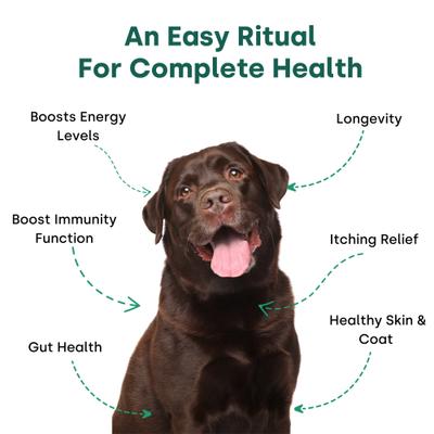 Canine NutriGreens Chews Vitamin & Probiotic Supplement for Dogs, 90 count