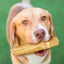 All natural Caffine free Large dog Coffee Wood Chews Treat