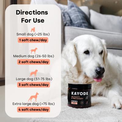 Joint & Recovery Trout Flavored Chews Joint & Muscle Supplement for Dogs, 90 count