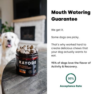 Joint & Recovery Trout Flavored Chews Joint & Muscle Supplement for Dogs, 90 count