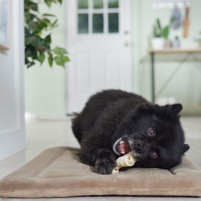 DogLicious 4" Natural Bones Dog Treats, 8 count