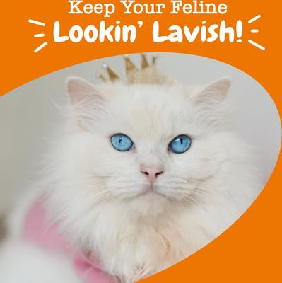 Omega Skin & Coat Tuna Mousse Lickable Squeeze Supplement for Cats, 18 count