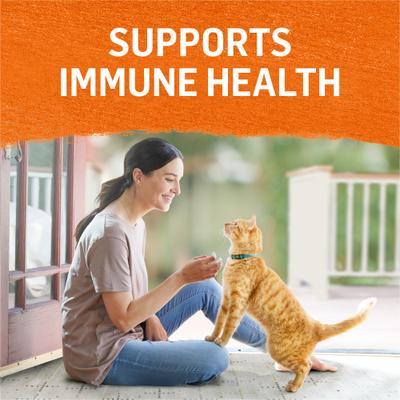 Grain-Free Pate 3 Flavors Variety Pack Canned Cat Food, 3-oz, case of 6