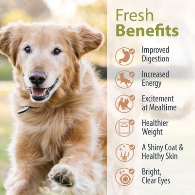 Bundle: JustFoodForDogs Sampler Variety Box Frozen Fresh Food + Pumpkin Dehydrated Dog Treats