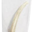 Natural Elk Antler Dog Chews, Large