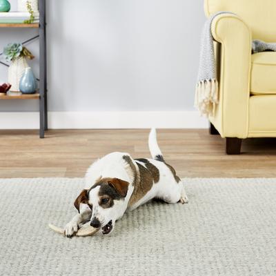 Natural Elk Antler Dog Chews, Large