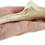 Natural Elk Antler Dog Chews, Large