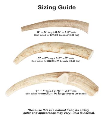 Natural Elk Antler Dog Chews, Large