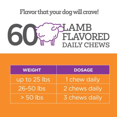 Aller-Immune Skin & Coat Well Bites Dog Supplement, 60 count