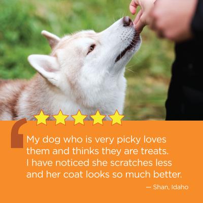 Aller-Immune Skin & Coat Well Bites Dog Supplement, 60 count