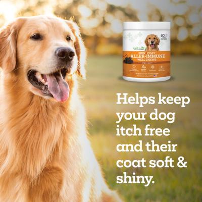 Aller-Immune Skin & Coat Well Bites Dog Supplement, 60 count