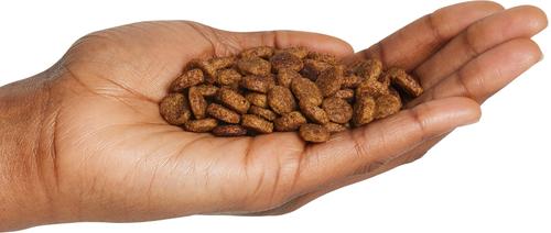 Organic Grain-Free Chicken & Liver Recipe Dry Dog Food, 20-lb bag