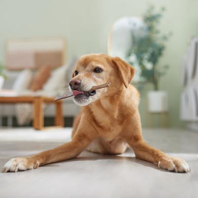 DogLicious Munchy Flat Chews Dog Treats, 50 count