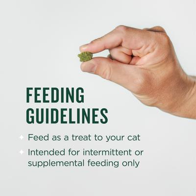 Chicken Flavored Cat Dental Treats, 10-oz bag