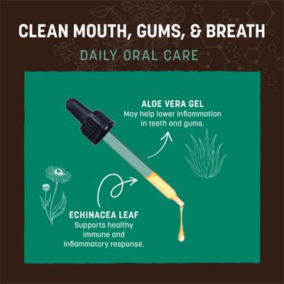 Apothecary Clean Mouth, Gums & Breath Herbal Liquid Dental Supplement for Dogs & Cats, 2-fl oz bottle