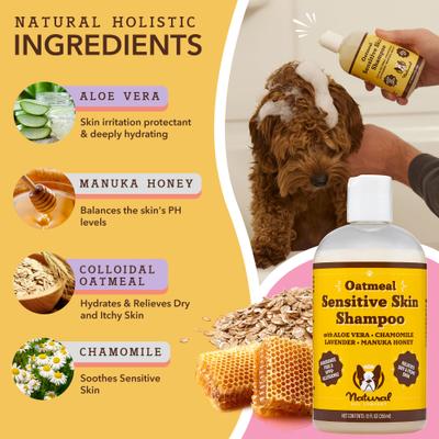 Sensitive Skin Dog Shampoo, 12-fl oz bottle