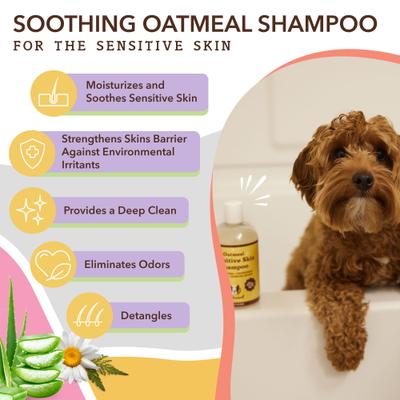 Sensitive Skin Dog Shampoo, 12-fl oz bottle