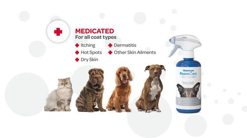 FoamCare Medicated Shampoo for Pets, 16-fl oz spray