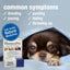 Travel Anxiety Dog, Cat, Bird & Small Animal Supplement, 450 drops