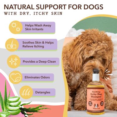 Itchy Dog Shampoo, 12-fl oz bottle