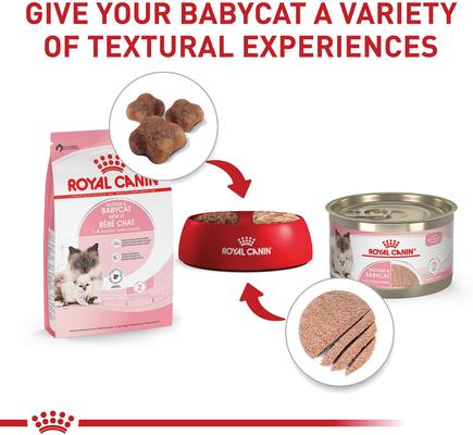 Feline Health Nutrition Mother & Babycat Dry Cat Food, 6-lb bag