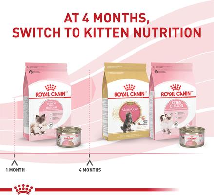 Feline Health Nutrition Mother & Babycat Dry Cat Food, 6-lb bag