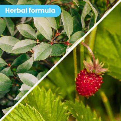 Organic Nose Dog Balm Moisturizer, 1.75-fl oz can