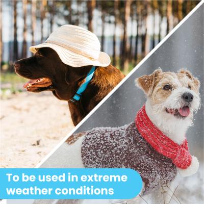 Organic Nose Dog Balm Moisturizer, 1.75-fl oz can