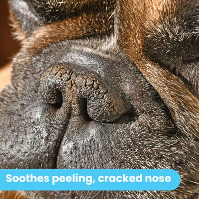 Organic Nose Dog Balm Moisturizer, 1.75-fl oz can