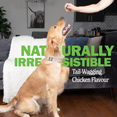 Advanced Probiotic Grain-Free Chicken Flavored Dog Supplement, 17-oz Canister, 120 Count