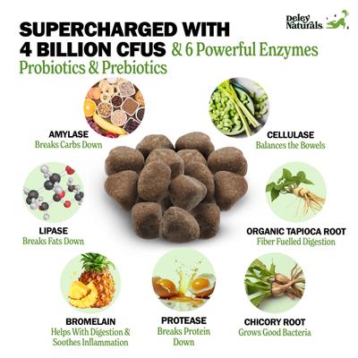 Advanced Probiotic Grain-Free Chicken Flavored Dog Supplement, 17-oz Canister, 120 Count