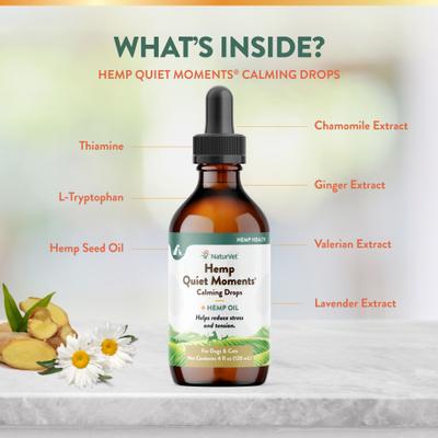 Hemp Quiet Moments Liquid Calming Supplement for Cats & Dogs, 4-fl oz bottle