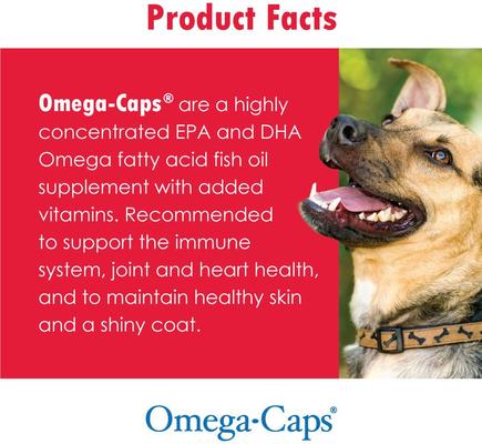 ES Liquid for Dogs & Cats, 8-fl oz bottle