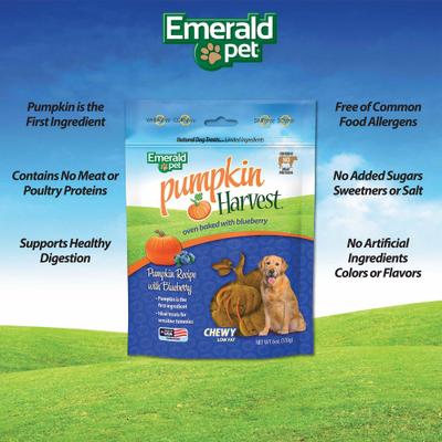 Pumpkin Harvest Oven Baked Pumpkin Recipe with Blueberry Chewy Dog Treats, 6-oz bag