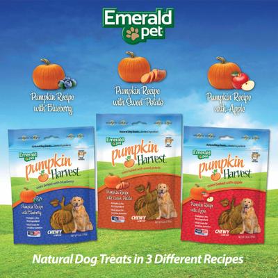 Pumpkin Harvest Oven Baked Pumpkin Recipe with Blueberry Chewy Dog Treats, 6-oz bag