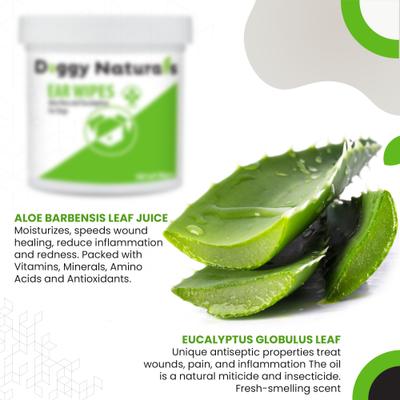 Aloe & Eucalyptus Cat & Dog Ear Cleaner Wipes, 100 count