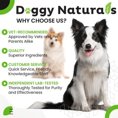 Aloe & Eucalyptus Cat & Dog Ear Cleaner Wipes, 100 count