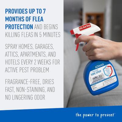 Bundle: Sulfodene 3-Way Ointment for Dogs, 2-fl oz & Adams Flea & Tick Home Spray, 24-fl oz bottle