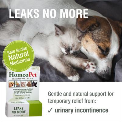 Leaks No More Homeopathic Medicine for Incontinence for Birds, Cats, Dogs & Small Pets, 450 drops